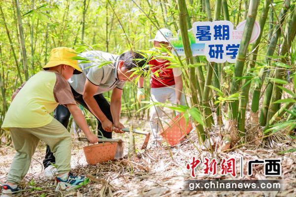 2025年暑期广西研学旅游季系列活动多维赋能文旅融合新发展