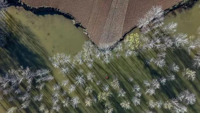 快出门！这些全是洛阳冬日限定！