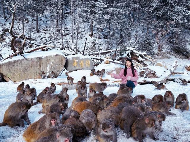 赴达古之约，赴一场冰雪秘境的沉浸式漫游｜冬季保姆级攻略