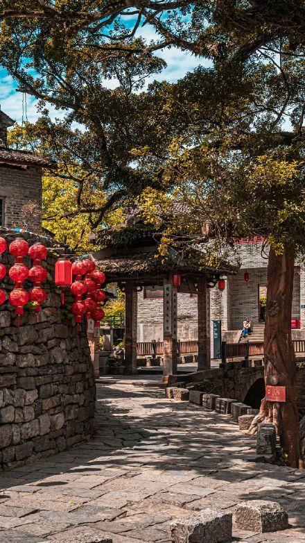 赴一场秋日里的温情之约