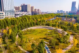 陕西省科学技术进步奖一等奖图片