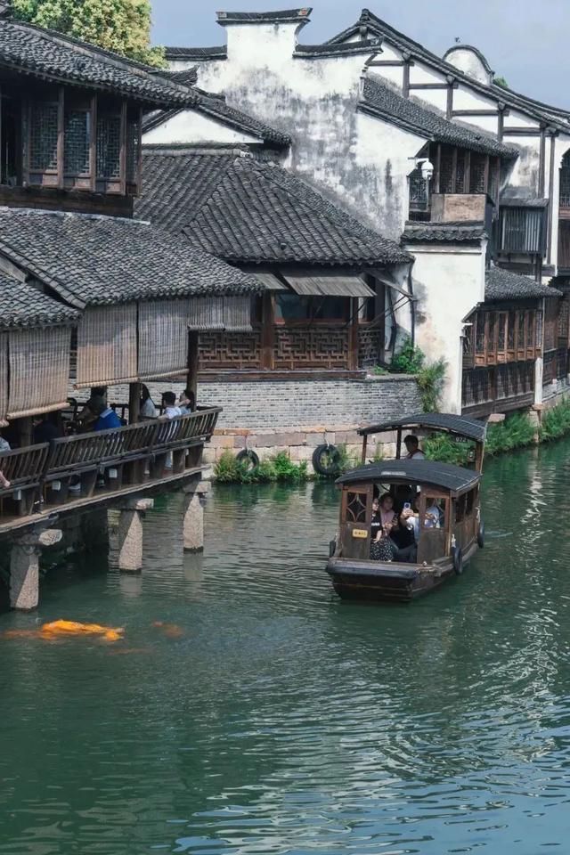 跟着浙BA游衢州！持门票享优惠，吃喝住宿全打折