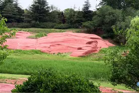 新视界｜红石公园：侏罗纪时期的历史遗迹图片