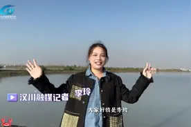 视频 | 里潭乡竹林铺村：“蟹”逅乡村好“钱”景，汉川这个村虾蟹养殖面积超1200亩图片