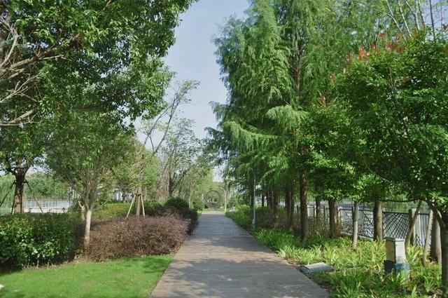 四季流转，青浦这座公园的颜值从来不掉线！