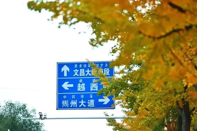 出发！来四川淘“金”