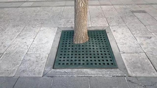 【全力创“5A” 攻坚进行时】精雕细琢补短板 匠心提质创“5A”