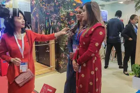 今年前7月接待入境游客158万余人次，上海入境游市场领跑全国图片