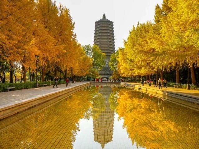 北京号最精彩｜惊艳！京城这些公园里藏着秋景“天花板”