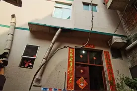 奇迹！宁德这棵枇杷树全球最细长！图片