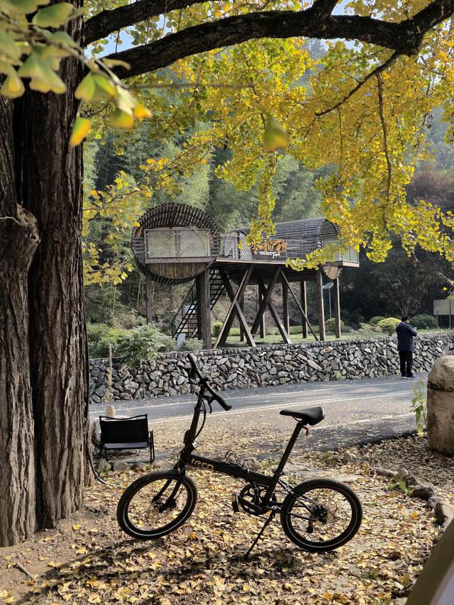 写点生活｜又见盛开在记忆深处的晚饭花