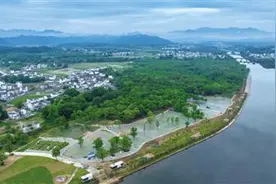 点“绿”成金 生态与经济“甜蜜共舞”图片