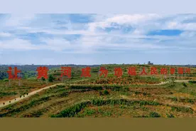 新安县石寺镇生态优先绿生金图片