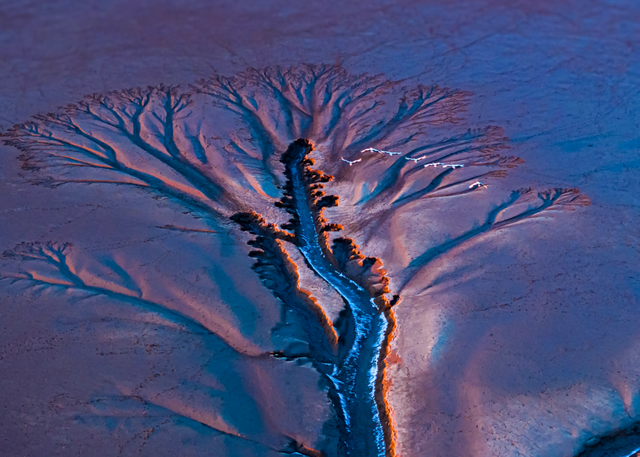 组图|黄海1号，331公里的秋日画廊