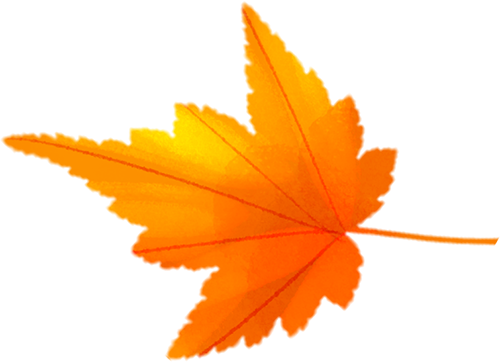 别再等！宝山这里已把秋日色阶拉满