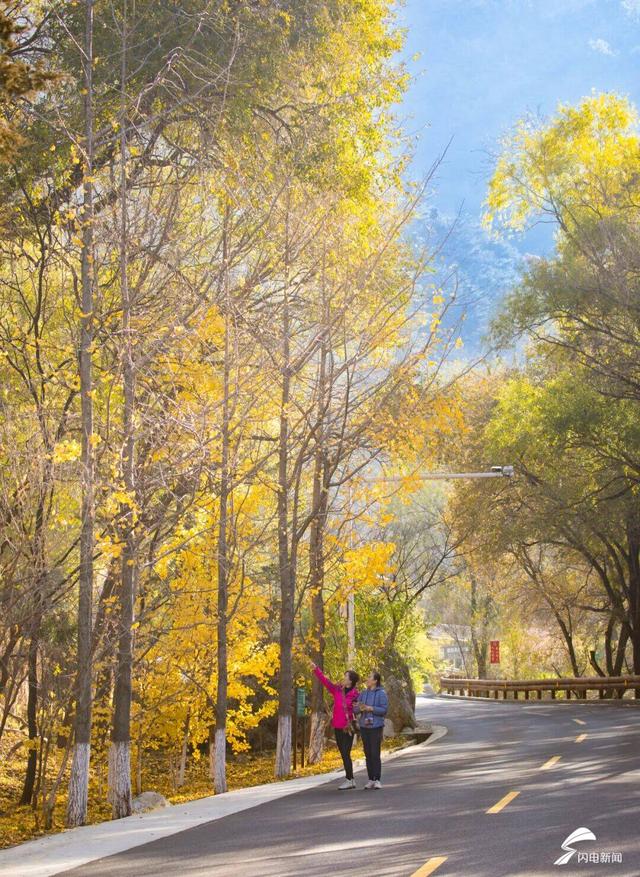 组图丨泰山彩石溪初冬 溪水与暖阳织就轻缓诗意