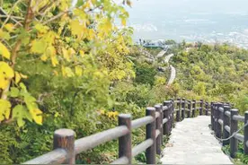 望京楼上望京城（足迹）图片