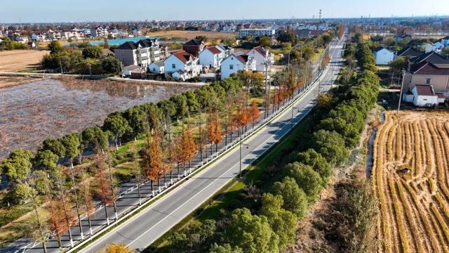 美丽农村路 | 荷美水乡，古韵潮玩！秀洲这条11.5公里的公路，串起千年运河与美丽乡村