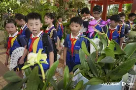 “神兽出笼”！广州中小学即日开始放暑假，9月2日开学图片