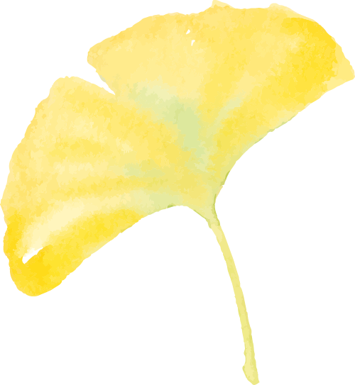 金山这些地方“含金量”满满，再不去等明年…