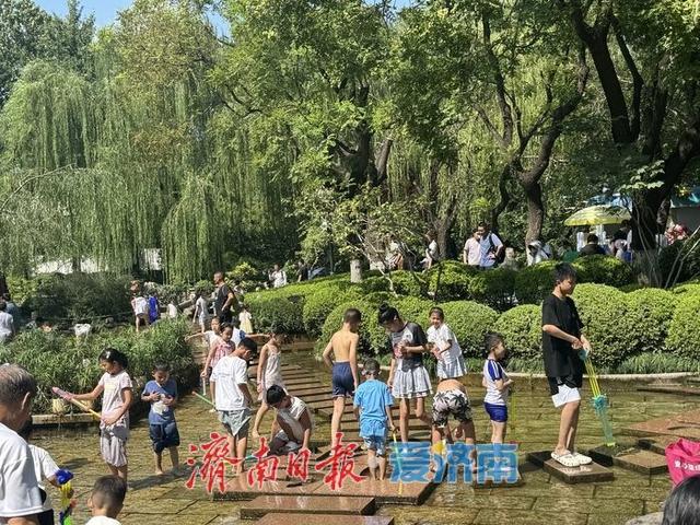 一年四季 泉在济南丨高温天里的清凉乐土：五龙潭清泉边童趣飞扬
