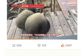 红山动物园自称不是丑猴子博物馆图片