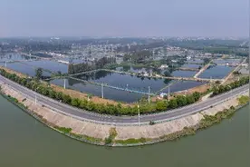 阜阳乡村公路：托起农业农村现代化的新希望图片