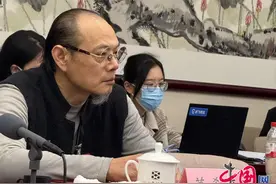董希源：将优秀自由职业文艺工作者纳入国家教育体系 助力文化与教育强国建设图片