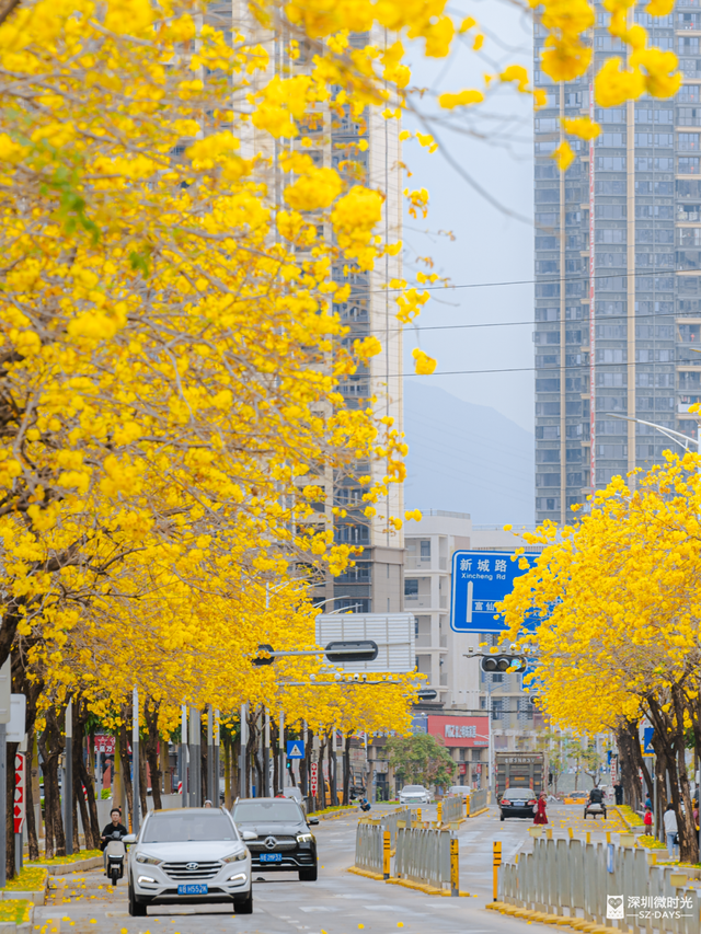 没人觉得龙岗的能量场很高吗？