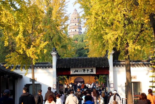 江苏苏州：游虎丘 赏银杏