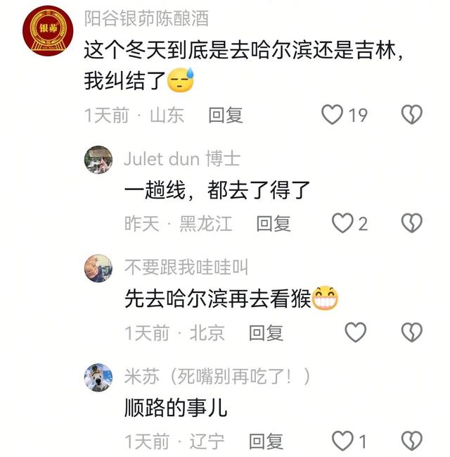 东北一家亲！这个冬天，东北喊你组团来赏冰玩雪