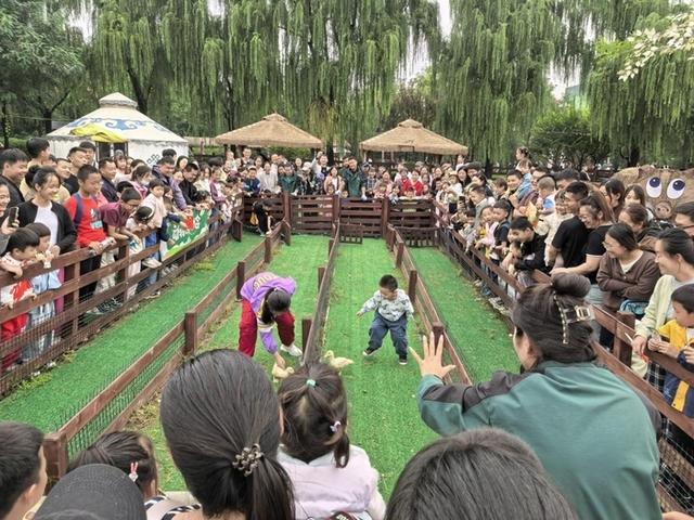 济南野生动物世界迎来客流高峰，用心服务让每位游客游玩舒心