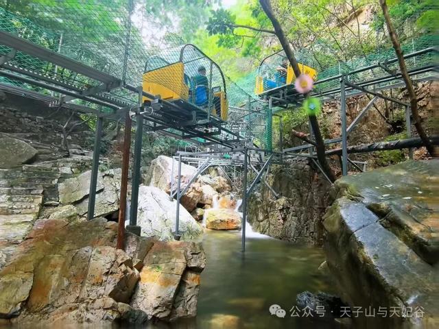 山洪褪去，澄澈归来，天子山景区已开园，快来这里进行一次心灵与自然的洗礼吧！