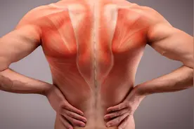 开背能养脏腑护脊柱图片