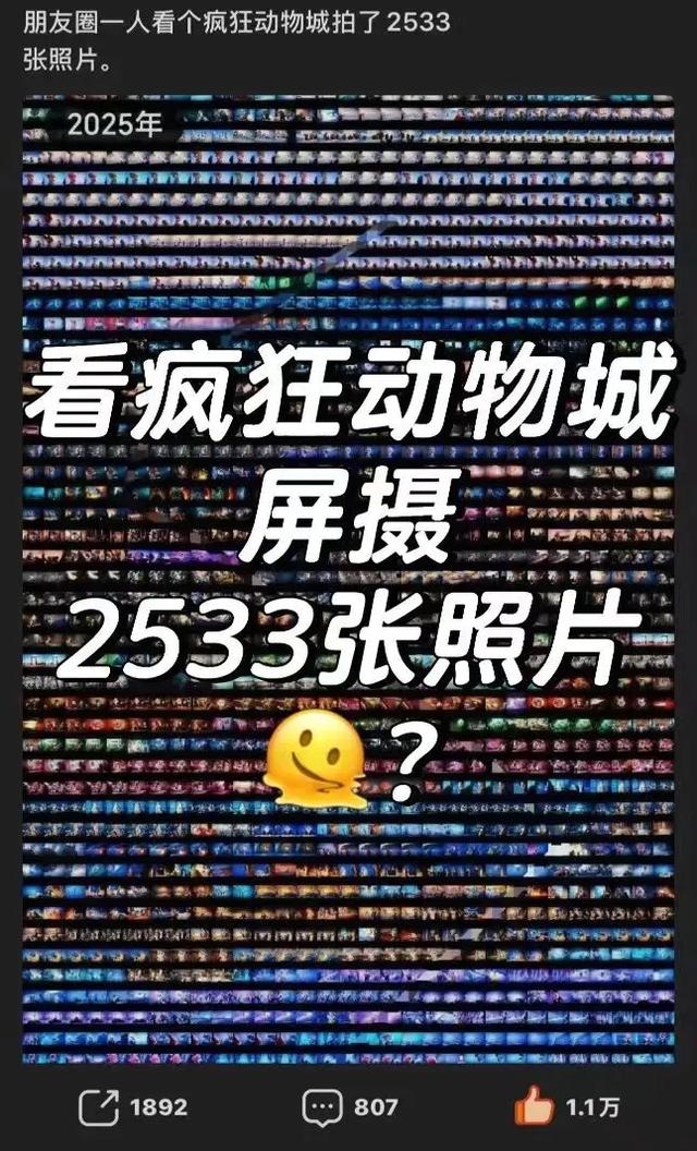 疯狂动物城，疯狂偷拍城