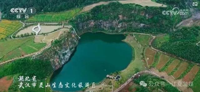 央视知名主持人，现身武汉