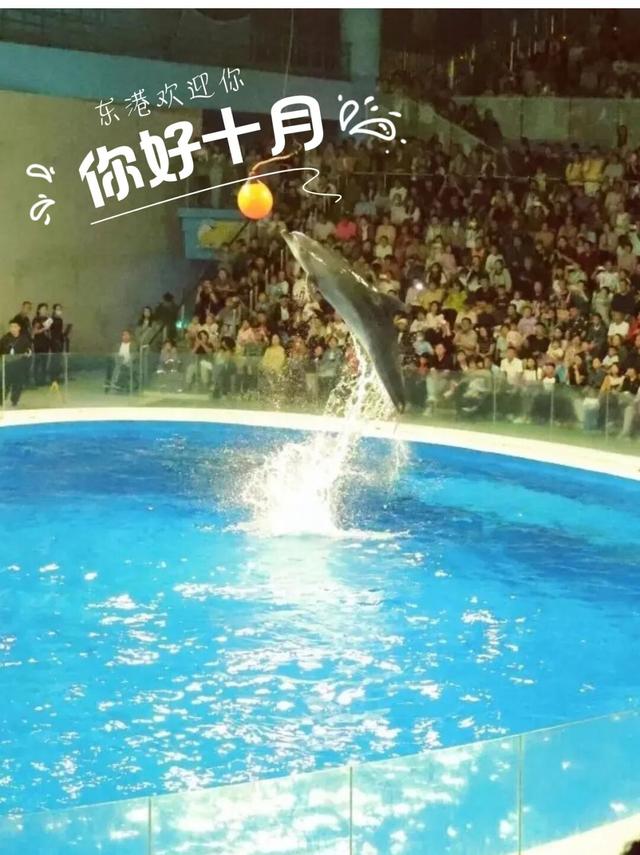 是时候来东港啦！！