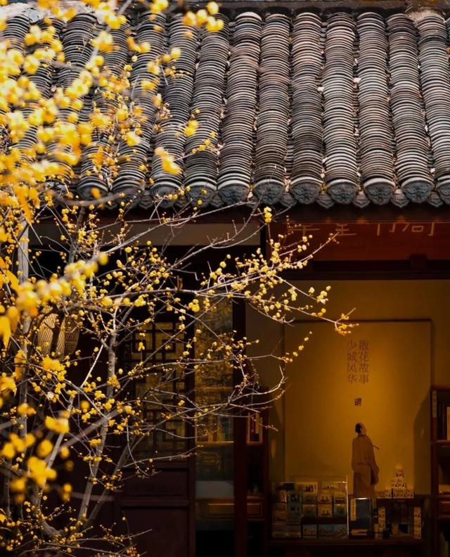 周末赶紧冲！趁着阳光明媚去寻香→