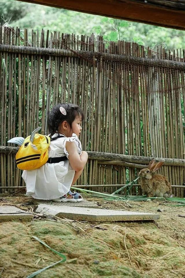 漳州长泰：“泰”式旅游火力全开