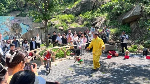 洛阳两家景区，推出门票互免政策！