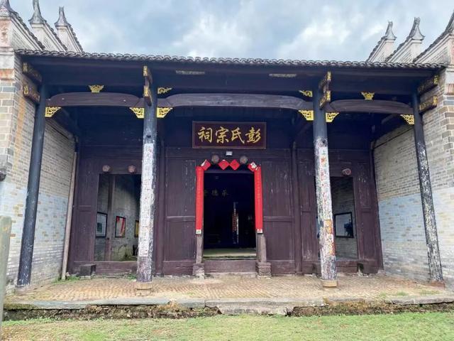 【遂川乡村游】“不去衙前看猛楠，游遍遂川也枉然”附新江古树秘境