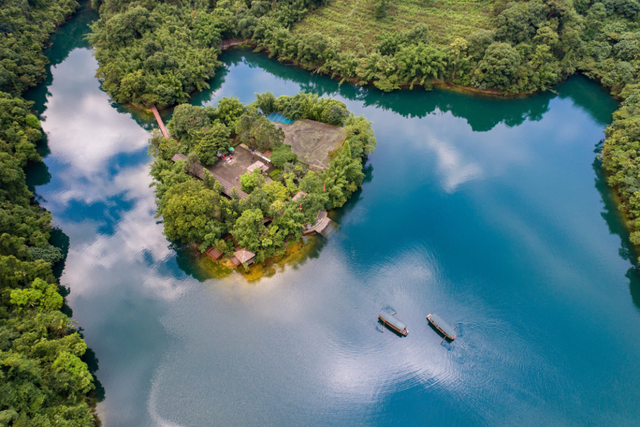 百万粉丝博主游鼎湖山感受“森呼吸”，善意相伴温暖旅途！