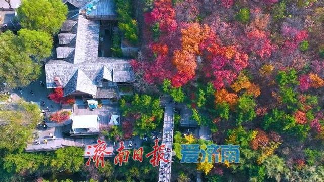 别错过最佳观赏期 一起邂逅满城红黄限定秋景