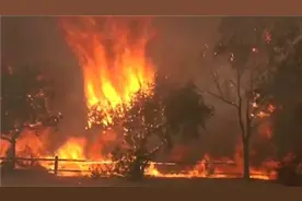 高温干旱致美国西部多地发生林火图片