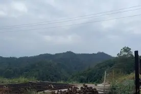 湖南平江山里藏着价值6000亿元的黄金？村民：小时候去山上捡的石头里都有金图片