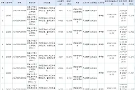 济南12宗低密居住地块底价成交，还有约600亩于年底前竞拍图片