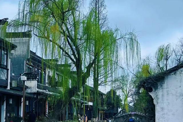 说走就走！“从上海西站出发——沿着沪宁去旅行”系列旅游产品选购指南来了！