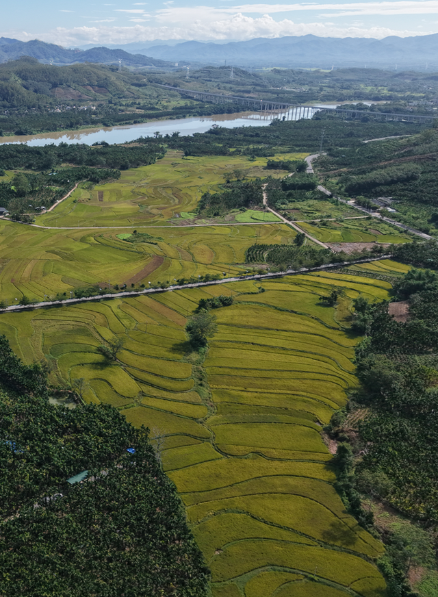跟着赛事游玩乐东，中国（海南）热带雨林自行车爬坡挑战赛