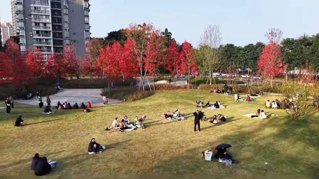 初冬限定！乐山这座公园里藏着一抹 “心动红”，拍照超出片！