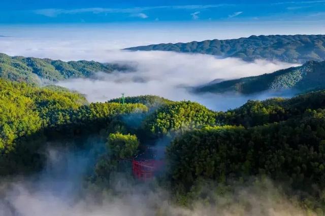 跟着春晚游宜宾！共赴一场历史文脉之旅！